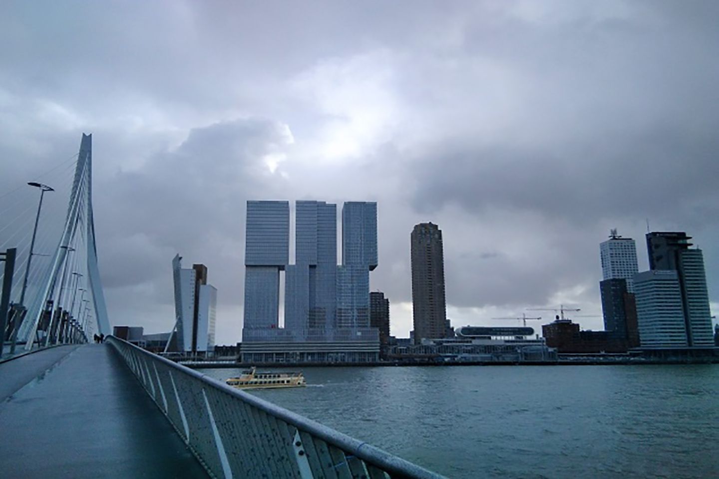 Rotterdam Docks