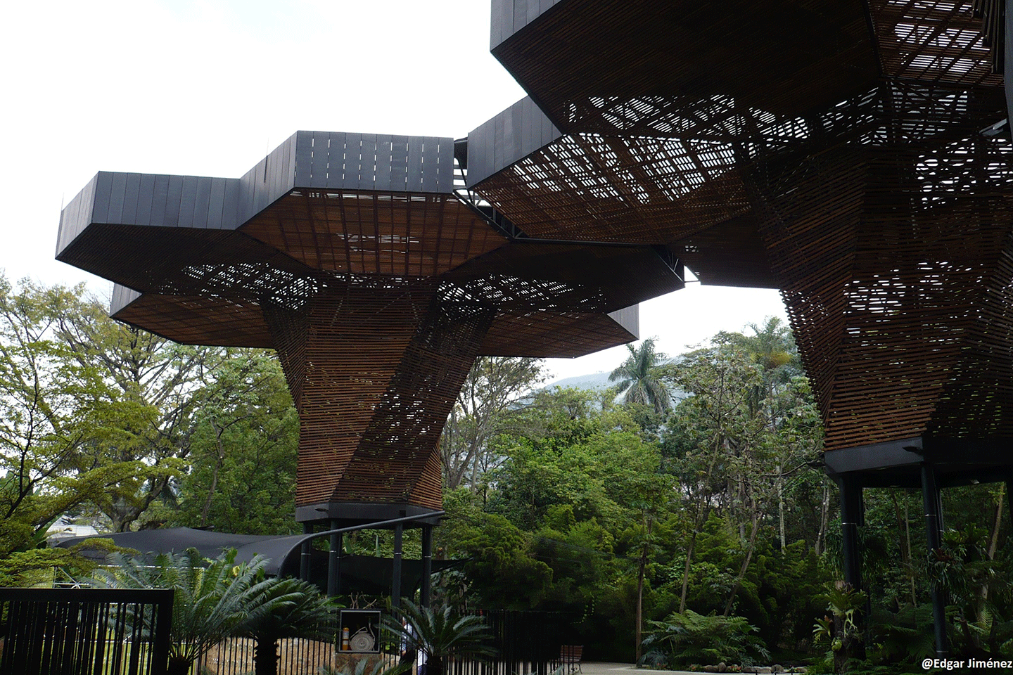 Botanical Garden Medellin