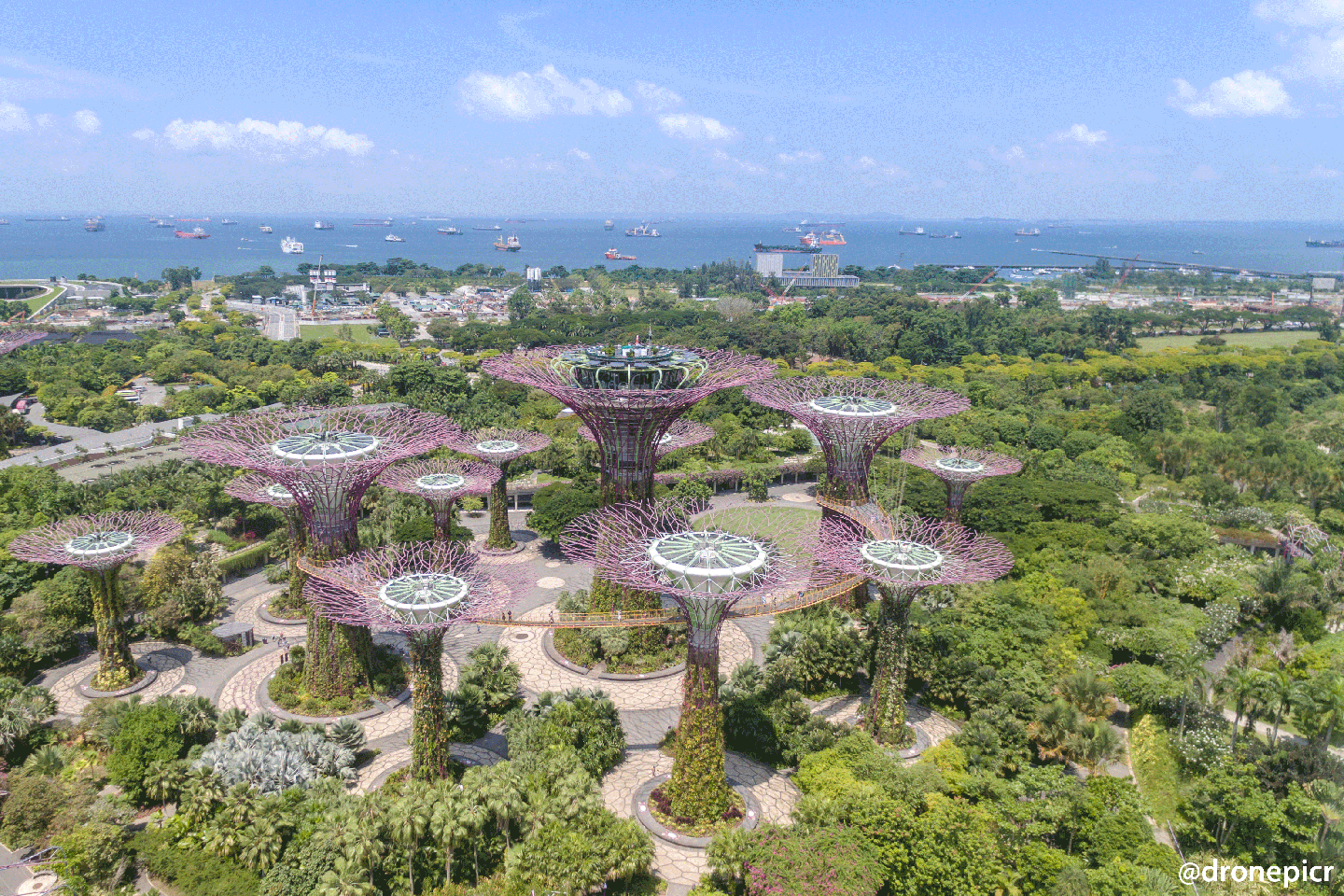 Singapore Landscape Architecture
